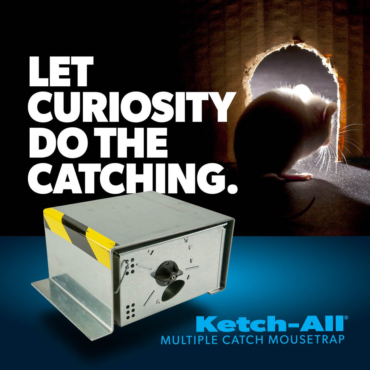 Curiosity Trap visual